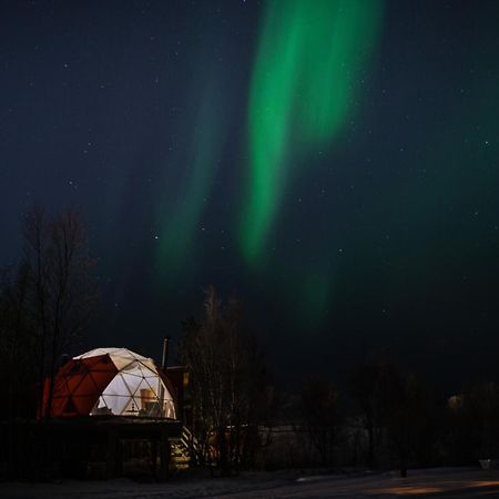 Aera - Glass Cabins Tromsø Kültér fotó