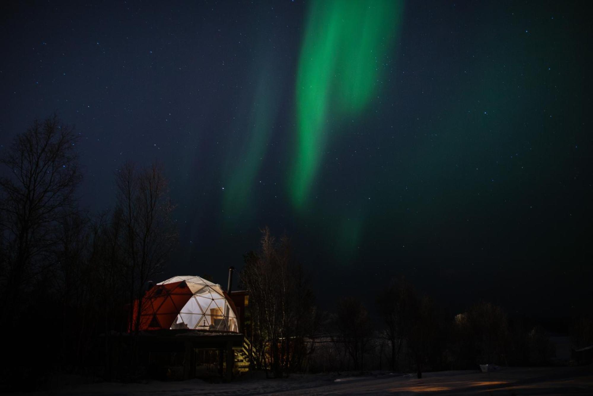Aera - Glass Cabins Tromsø Kültér fotó